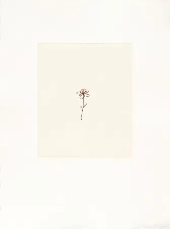 Etching Porter - Mod. 5