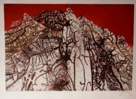 Etching And Aquatint Prassinos - Alpine rouge