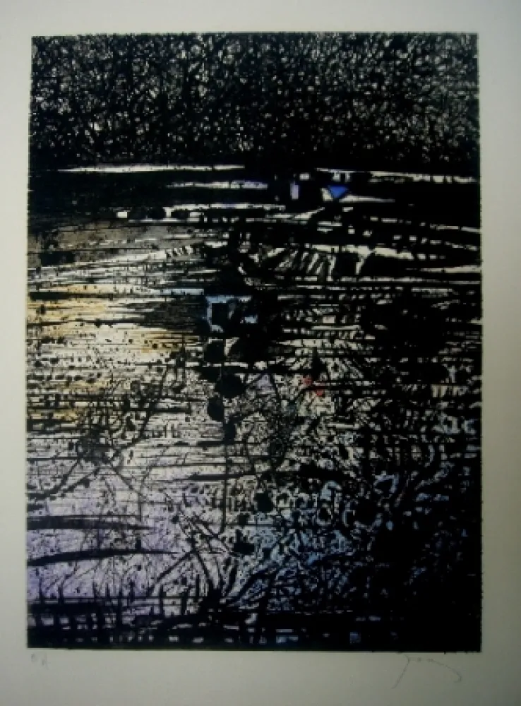 Etching And Aquatint Prassinos - L'étang