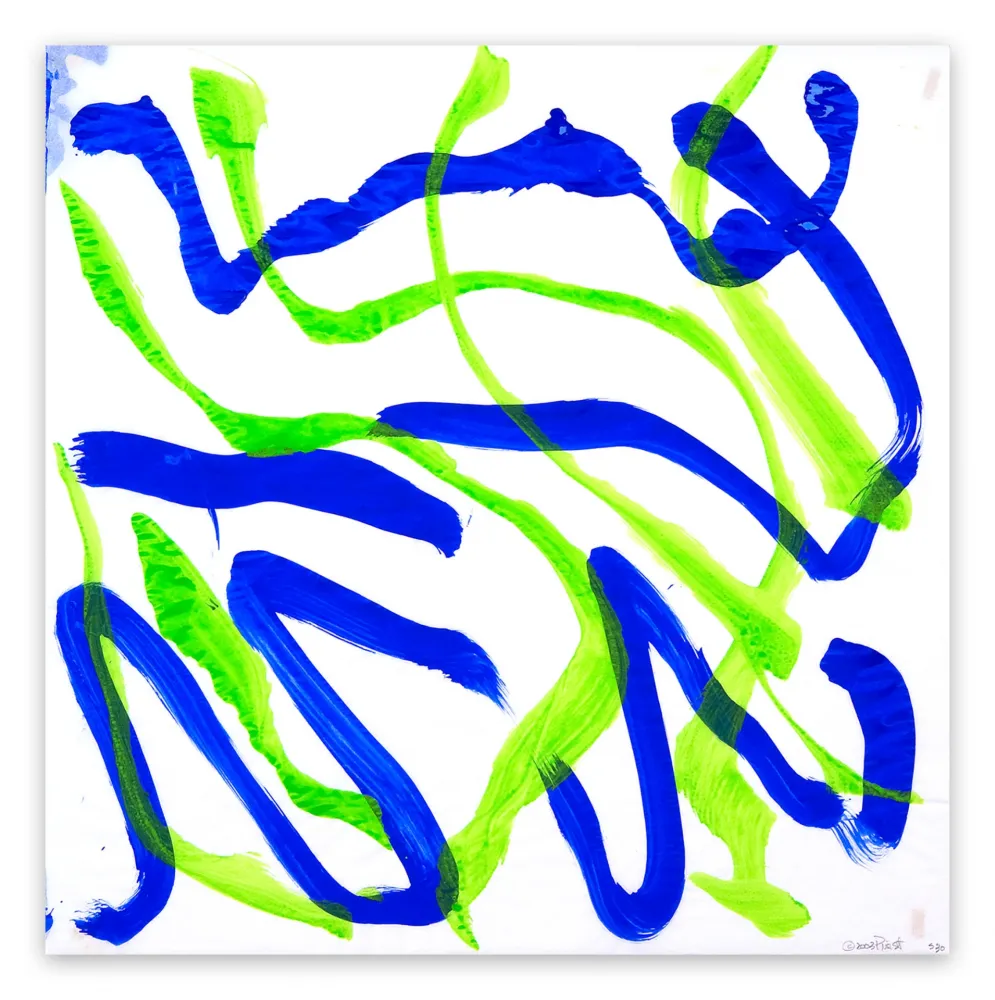 No Technical Priest - Dolphin Dance 30