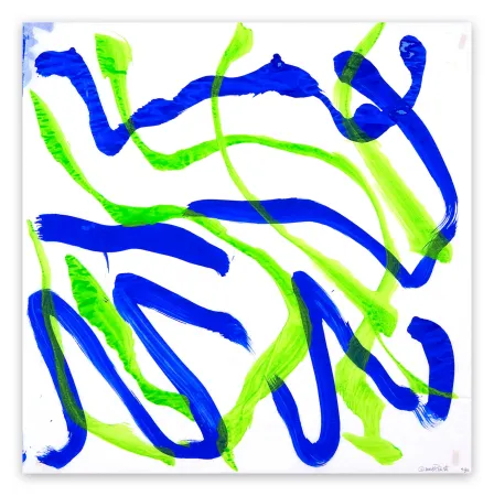 No Technical Priest - Dolphin Dance 30