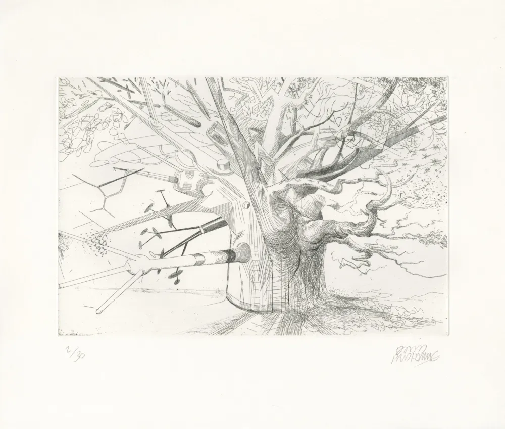 Engraving Prudhomme - Arbre Evolution 1