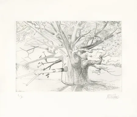 Engraving Prudhomme - Arbre Evolution 1