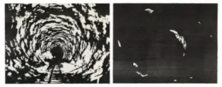 Woodcut Putrih - Reprojection II  (IIa et IIb)