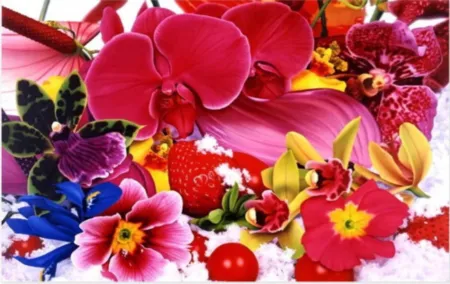 Multiple Quinn - On the Shore of the Orissa