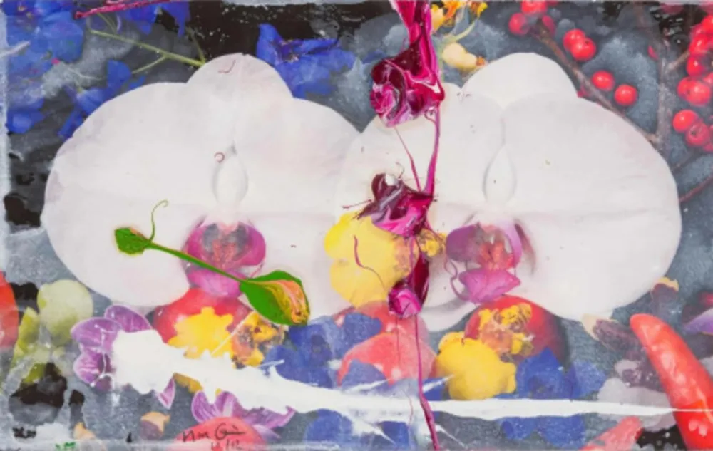 Multiple Quinn - Orchids