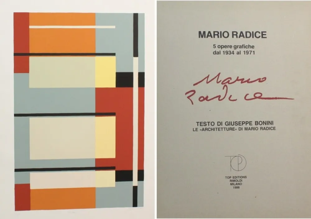 Screenprint Radice - ARCHITETTURE 5 PEZZI