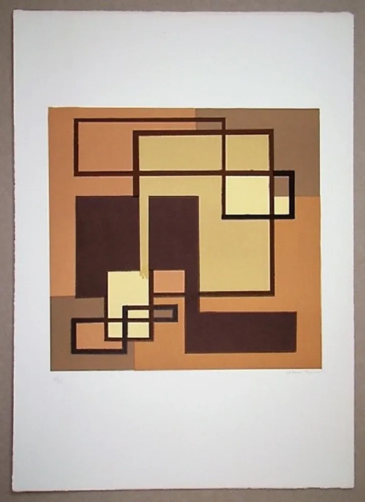 Lithograph Radice - Compositione astratta marrone