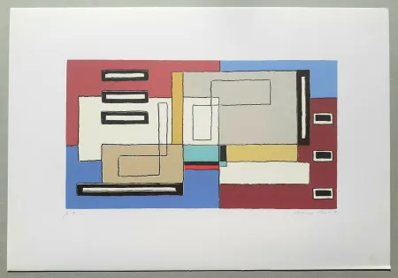 Screenprint Radice - Composizione Tav. 10