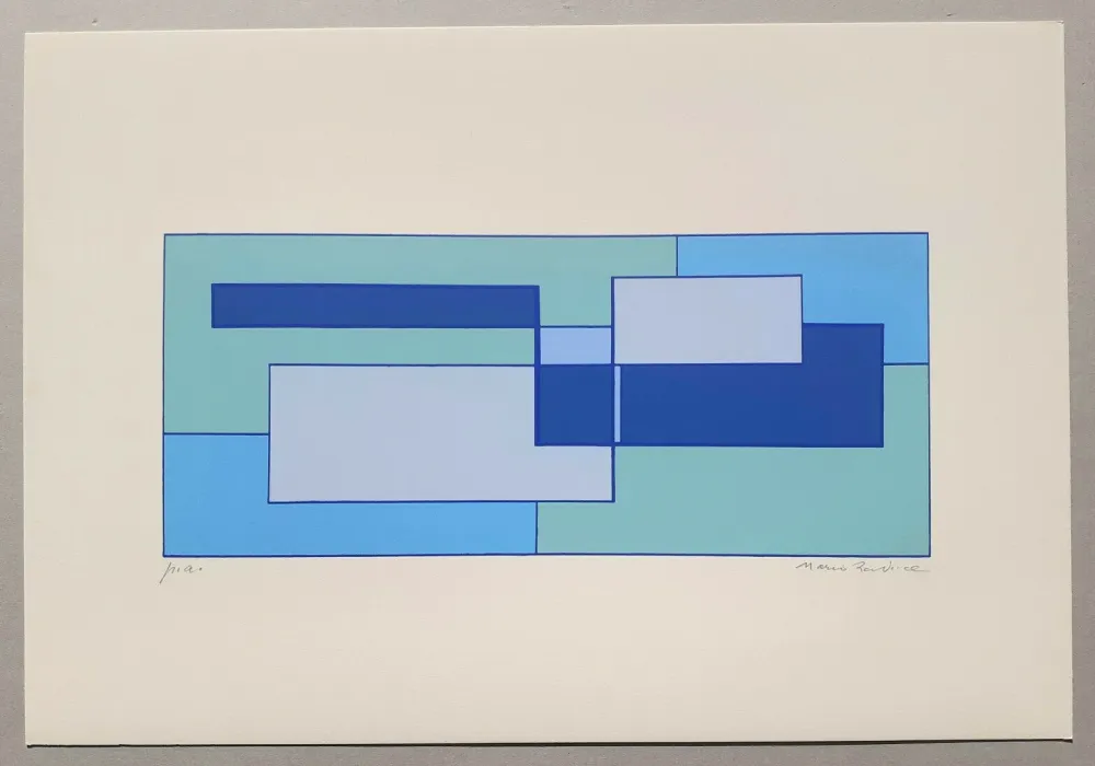 Screenprint Radice - Composizione Tav. 4