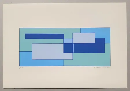 Screenprint Radice - Composizione Tav. 4