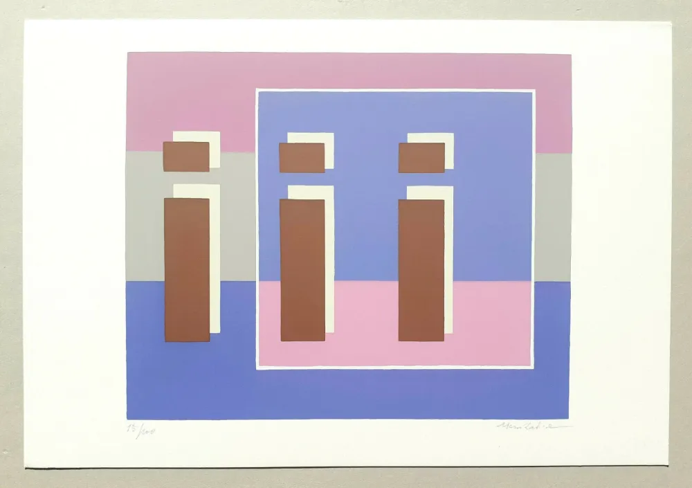 Screenprint Radice - Composizione Tav. 5