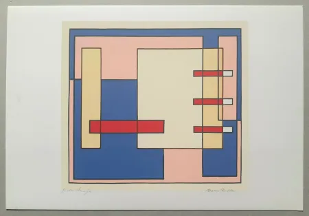 Screenprint Radice - Composizione Tav. 6