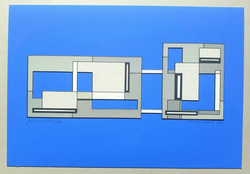 Screenprint Radice - Composizione Tav. 7