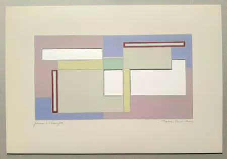 Screenprint Radice - Composizione Tav. 8