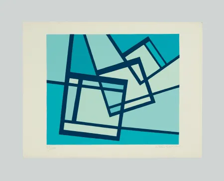 Screenprint Radice - La distruzione