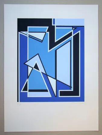 Screenprint Radice - Senza Titolo