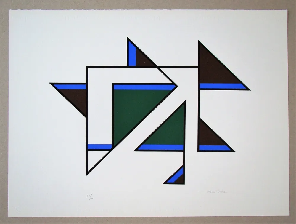 Screenprint Radice - Senza Titolo