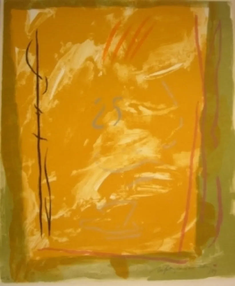 Lithograph Ràfols Casamada - 25