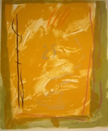 Lithograph Ràfols Casamada - 25