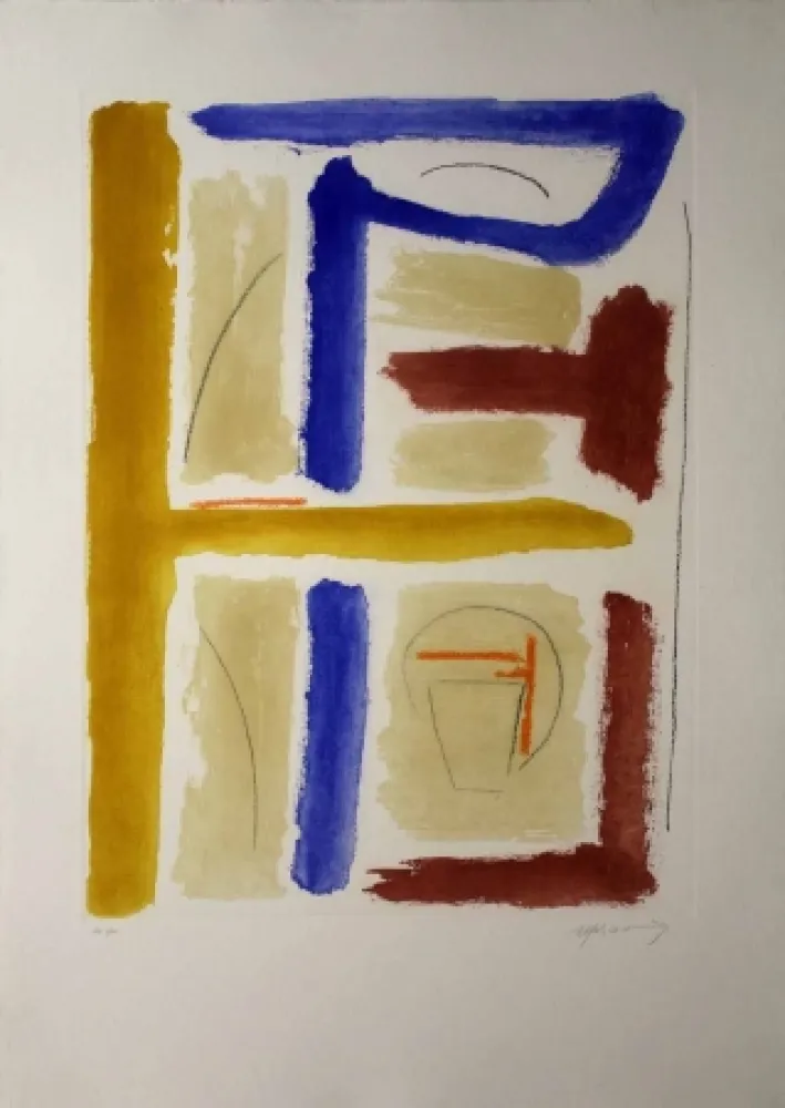 Etching And Aquatint Ràfols Casamada - Camí de primavera 4