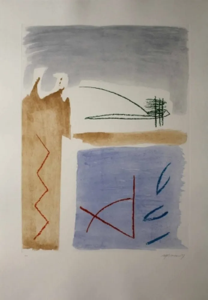 Etching And Aquatint Ràfols Casamada - Camí de primavera 5