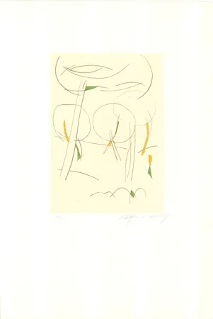 Etching And Aquatint Ràfols Casamada - El Bosc-5