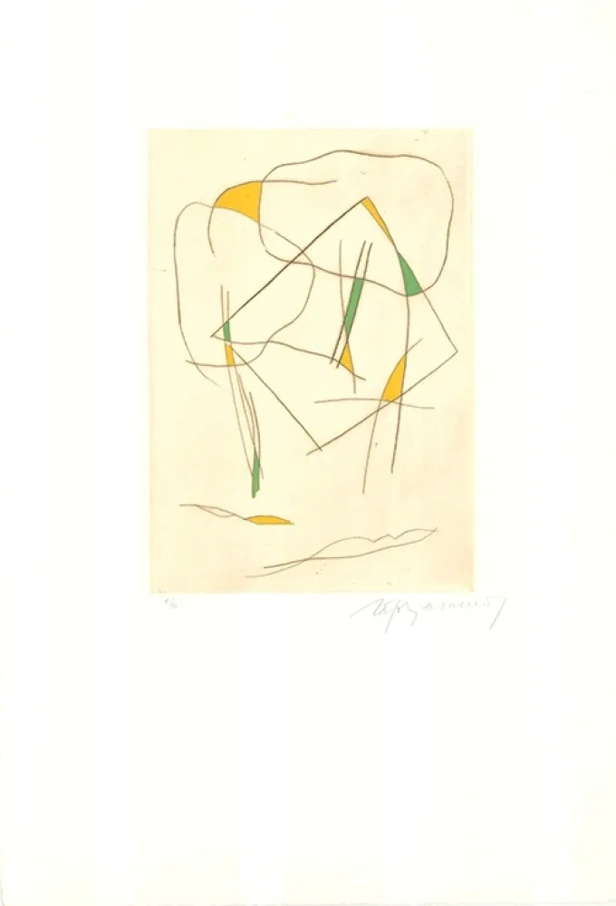 Etching And Aquatint Ràfols Casamada - El bosc-6