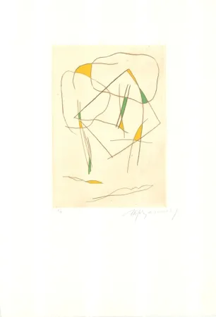 Etching And Aquatint Ràfols Casamada - El bosc-6