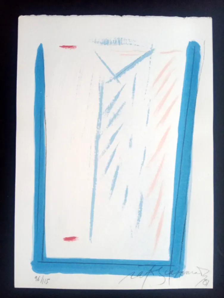 Screenprint Ràfols Casamada - Episodi VI