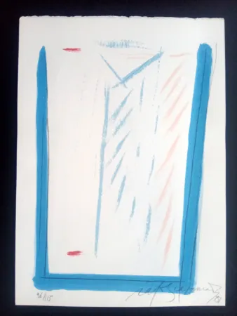 Screenprint Ràfols Casamada - Episodi VI