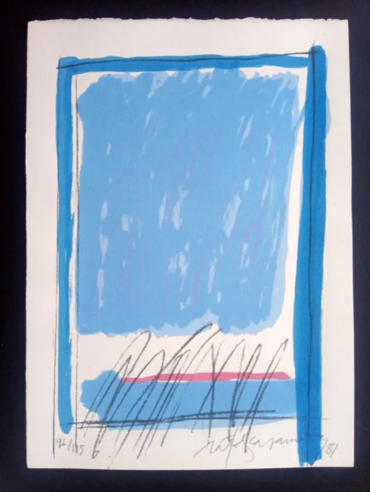 Screenprint Ràfols Casamada - Episodi VIII