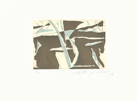 Etching And Aquatint Ràfols Casamada - Estiu-4