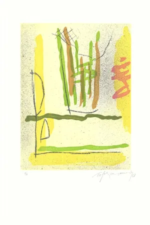 Etching And Aquatint Ràfols Casamada - Floral-1