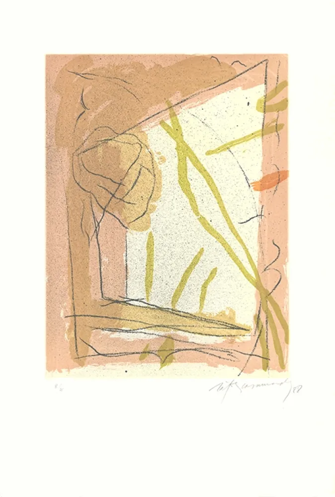 Etching And Aquatint Ràfols Casamada - Floral-2