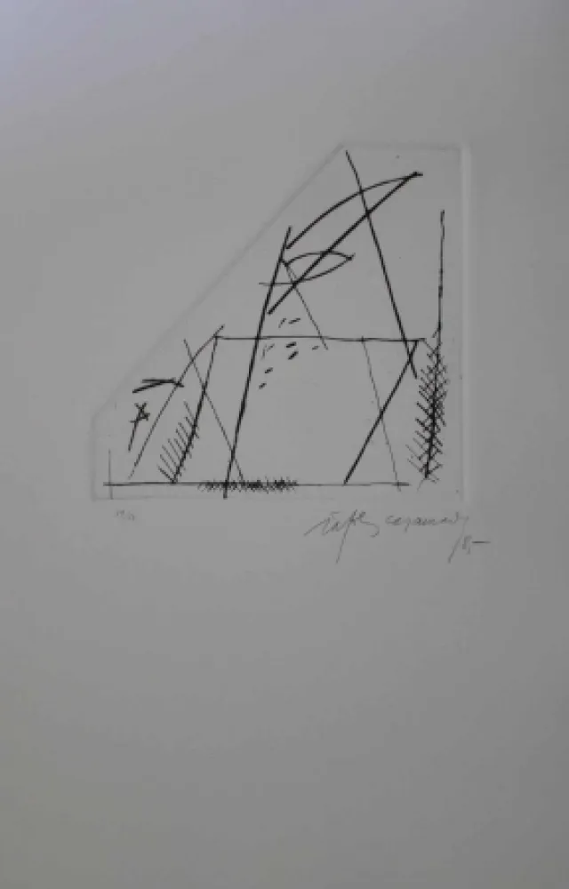 Etching Ràfols Casamada - Jardí 4