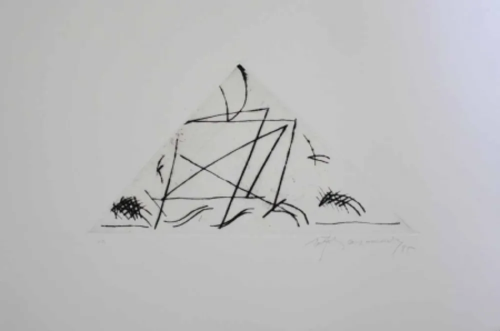 Etching Ràfols Casamada - Jardí 5