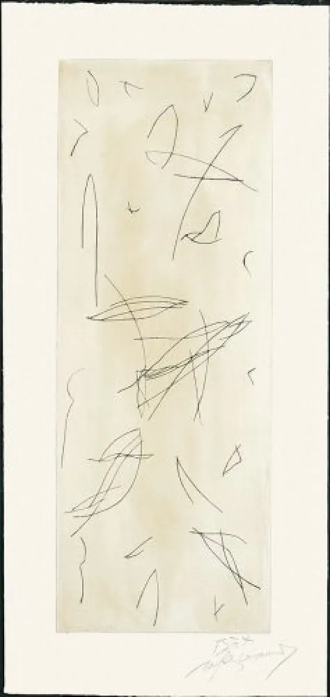 Etching Ràfols Casamada - Ocells-1