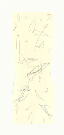 Etching Ràfols Casamada - Ocells-1