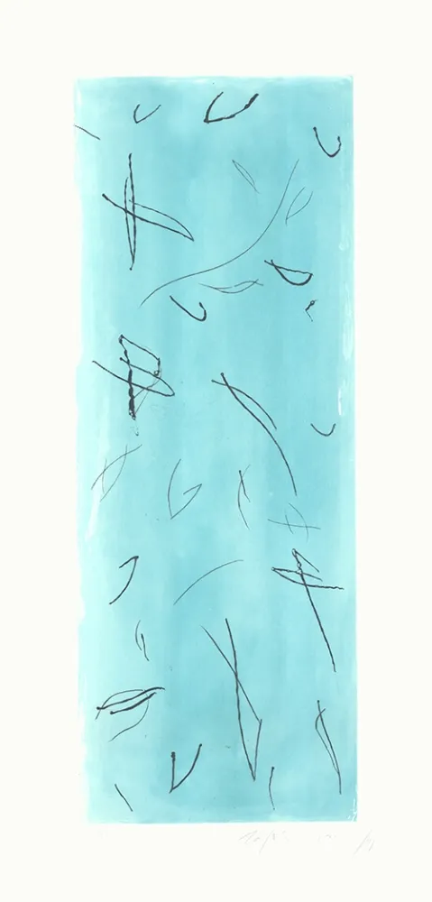 Etching Ràfols Casamada - Ocells-2