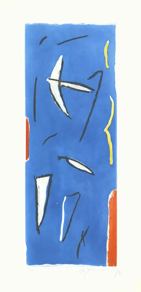 Etching And Aquatint Ràfols Casamada - Ocells-3