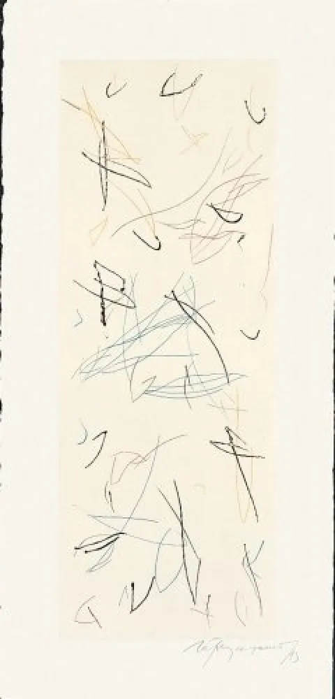 Etching Ràfols Casamada - Ocells-Variant 1-2