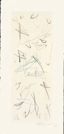 Etching Ràfols Casamada - Ocells-Variant 1-2