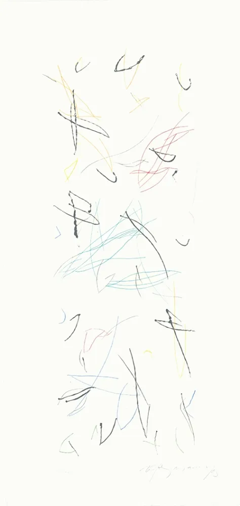 Etching Ràfols Casamada - Ocells variant 1-2