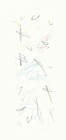 Etching Ràfols Casamada - Ocells variant 1-2