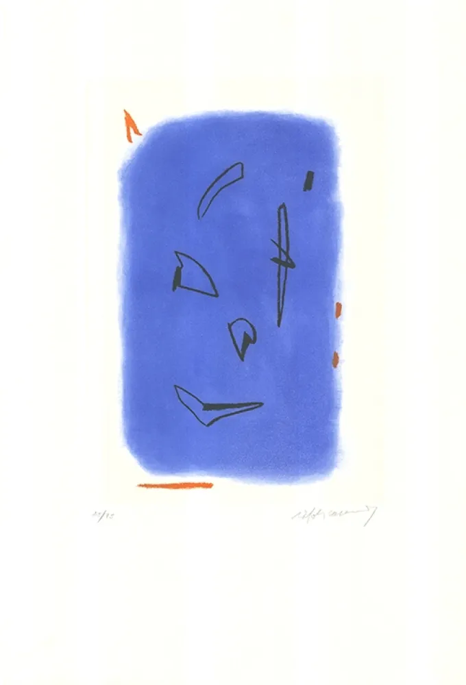 Etching And Aquatint Ràfols Casamada - Primavera-1