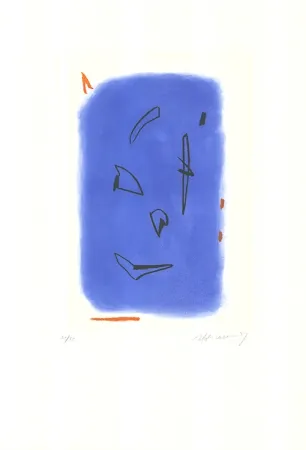 Etching And Aquatint Ràfols Casamada - Primavera-1