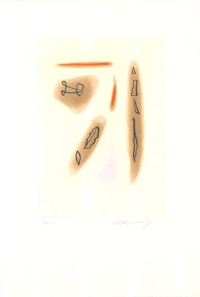 Etching And Aquatint Ràfols Casamada - Primavera-3