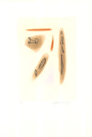 Etching And Aquatint Ràfols Casamada - Primavera-3