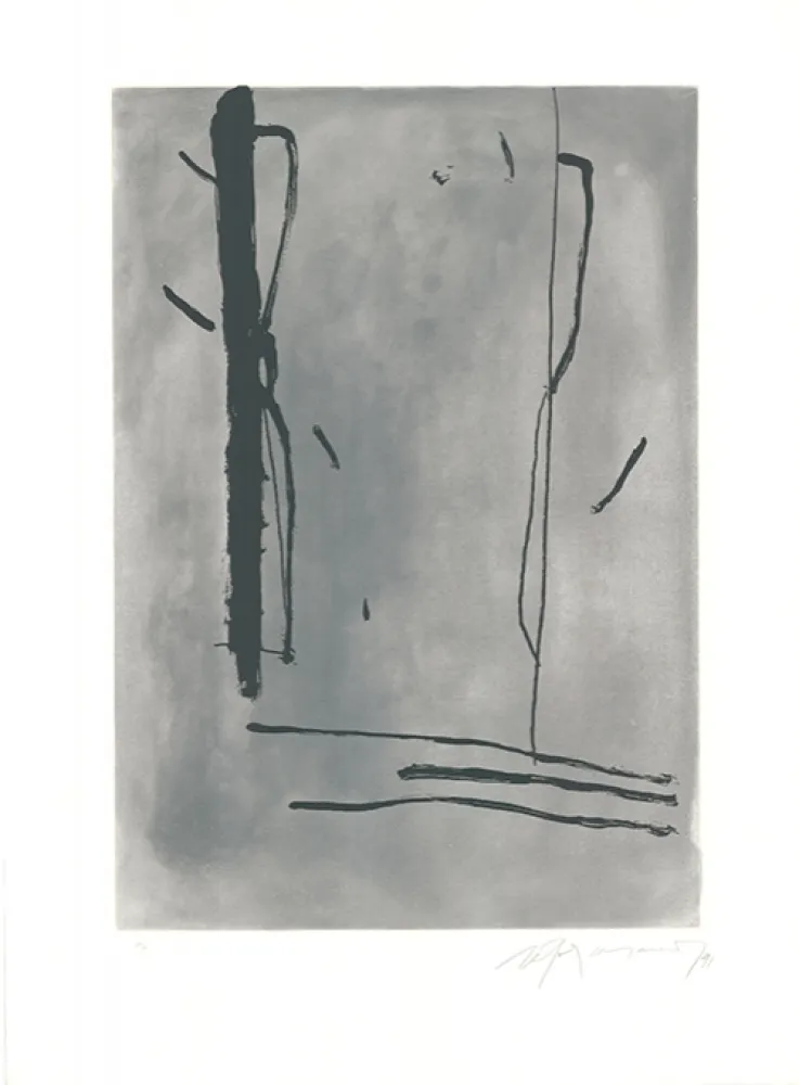 Etching And Aquatint Ràfols Casamada - Signe i Color-1